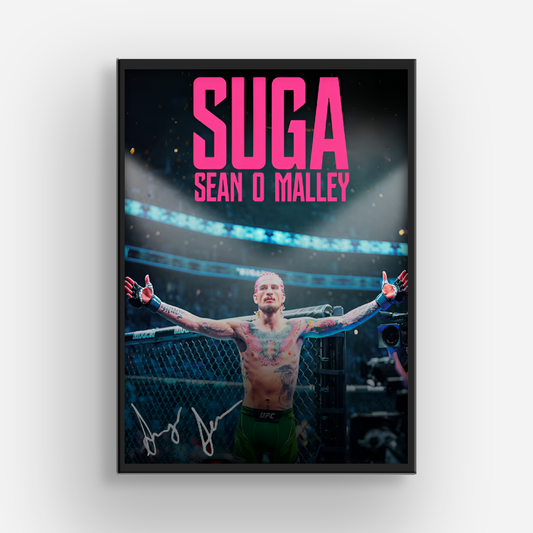 Sean O'malley MMA Poster